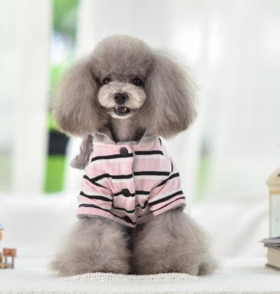 Baby pet clothes